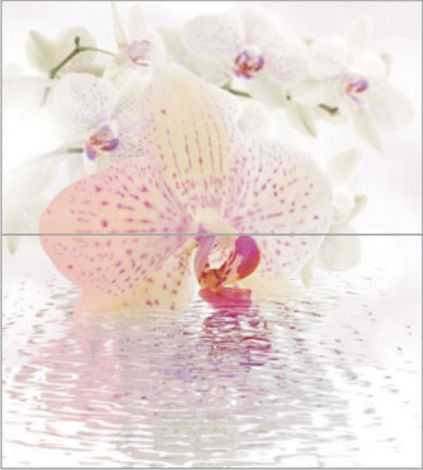 Панно Orchid Panno Декор (из 2-х шт) 45x50