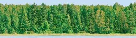 Панно Forest Panno (из 2 шт.) 25x90