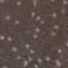 Угол Pietra Lavica Astra Angolo Fascia Nebula 7x7