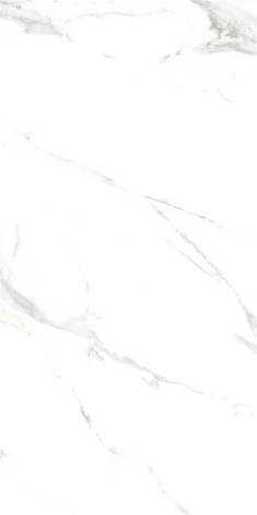 Керамогранит Royal Marble White Polished Rect 60x120
