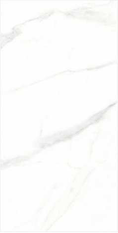 Керамогранит Statuario Alaska Polish 60x120 - низкая цена Plitka-Skidka.ru